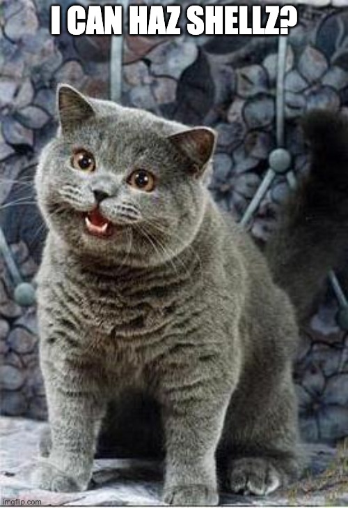 i can haz shellz?